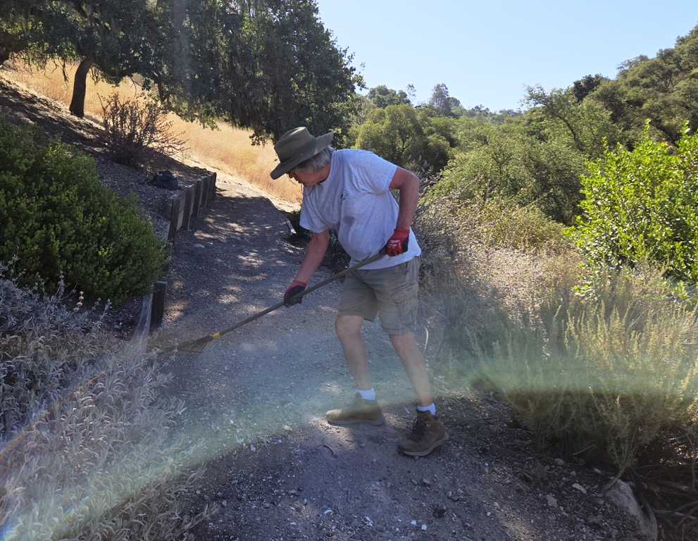 Mark raking and cleaning up the trail through the garden.